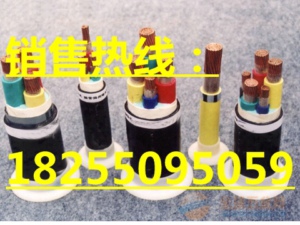 国标电缆耐高温变频器电缆BPFFP2变频器电缆专栏