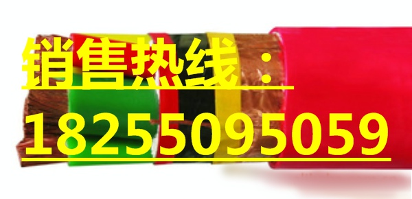 国标电缆硅橡胶变频器电缆BPGGP2电缆专栏   
