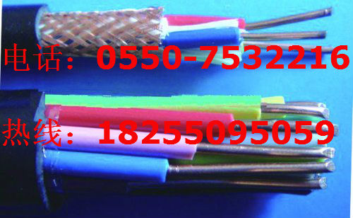 仪表电缆（RVV仪表电缆//RVV仪表电缆资料）