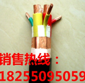 变频器电缆（BPGGP2变频器电缆//BPYJVP变频器电缆