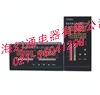8路高精度温度巡检仪/带RS485通 JD196-XJ