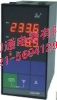 SWP智能多路巡检控制仪