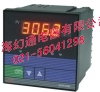 SWP-ND手动操作器/光柱手动操作器