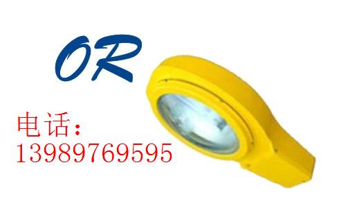 海洋王BLC8610防爆道路灯